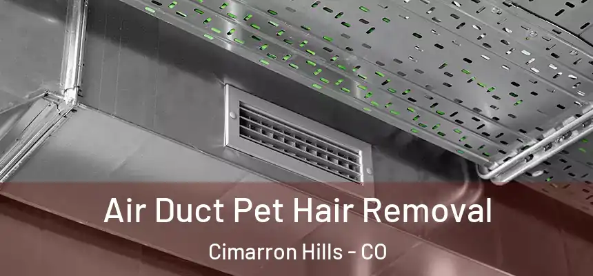  Air Duct Pet Hair Removal Cimarron Hills - CO