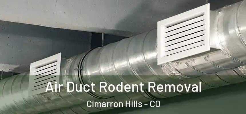  Air Duct Rodent Removal Cimarron Hills - CO