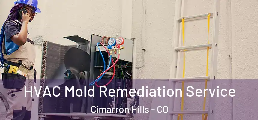  HVAC Mold Remediation Service Cimarron Hills - CO