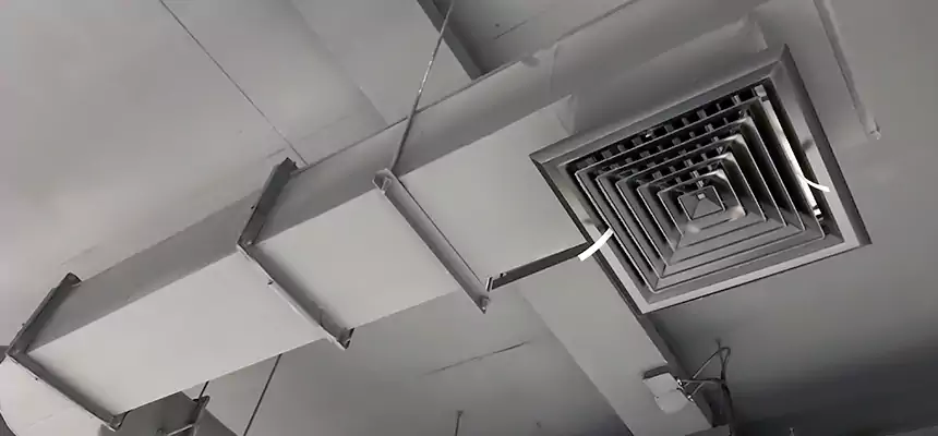 Our Pest Removal From Ducts Services in Cimarron Hills, CO