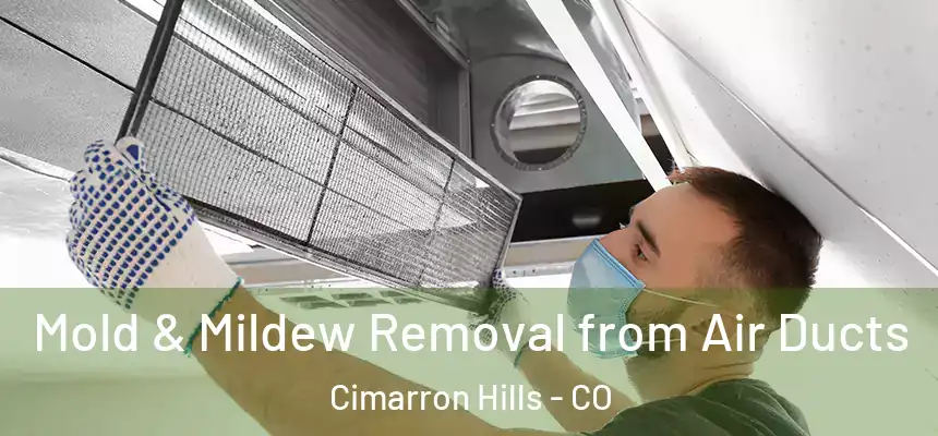  Mold & Mildew Removal from Air Ducts Cimarron Hills - CO