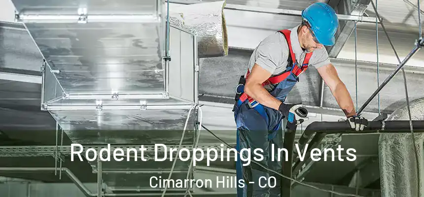  Rodent Droppings In Vents Cimarron Hills - CO