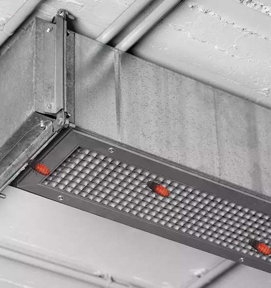 About Air Duct Cockroach Removal in Cimarron Hills, CO