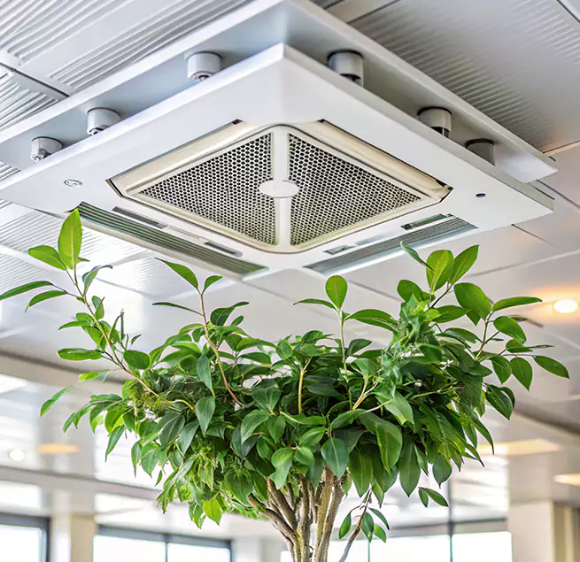 Why Homeowners & Businesses Trust Us in Cimarron Hills, CO?